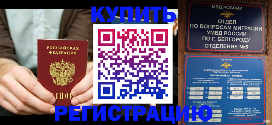 прописка 2025 в Зее